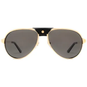 Gafas Cartier Ct0296S 001