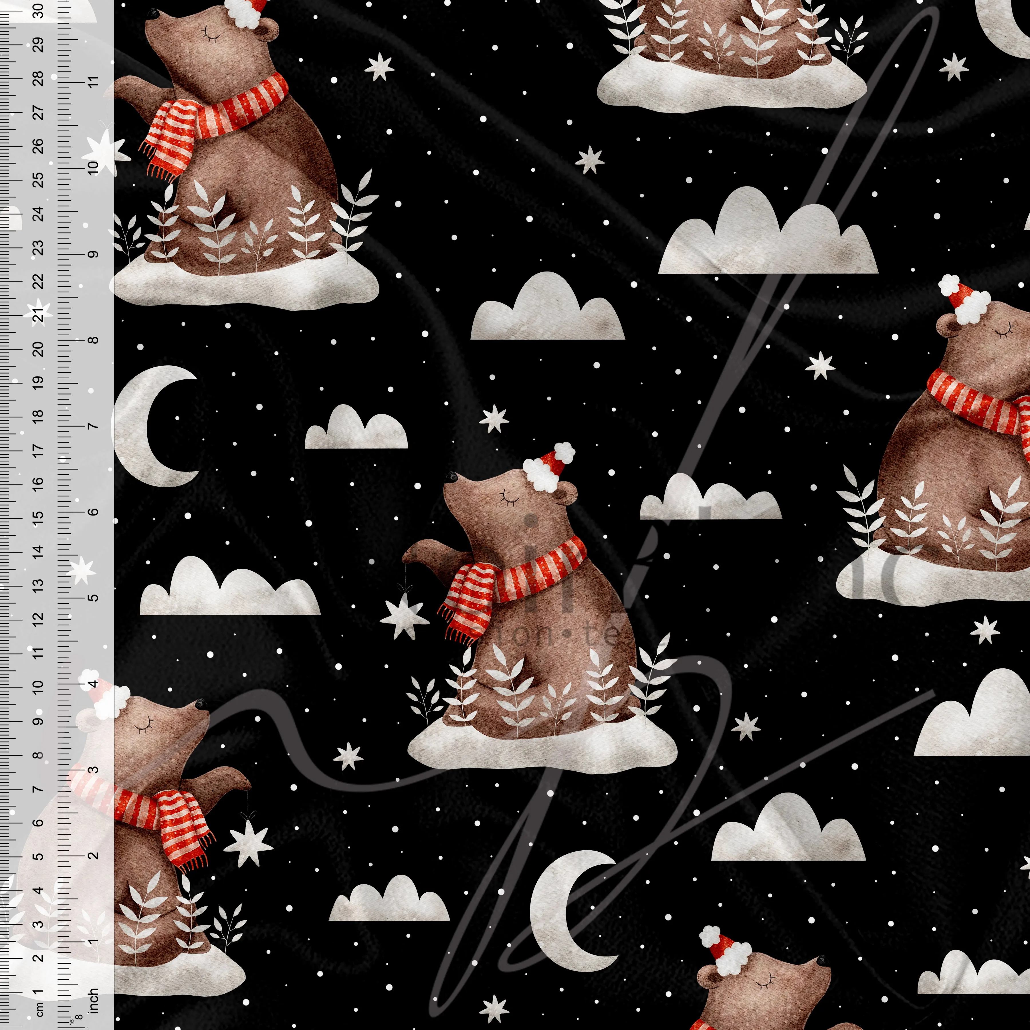 Voyage sur la lune